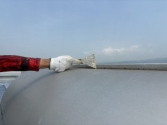 IMG_0220