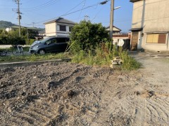 IMG_0260