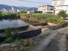 IMG_0449