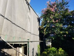 IMG_0537