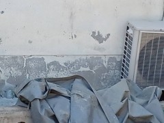 IMG_0930