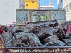 IMG_0986