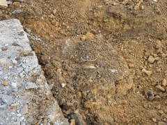IMG_1392
