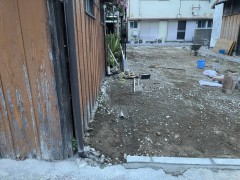 IMG_1397