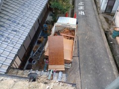 IMG_1904