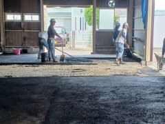 IMG_5784