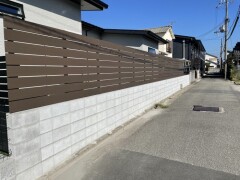 IMG_8081